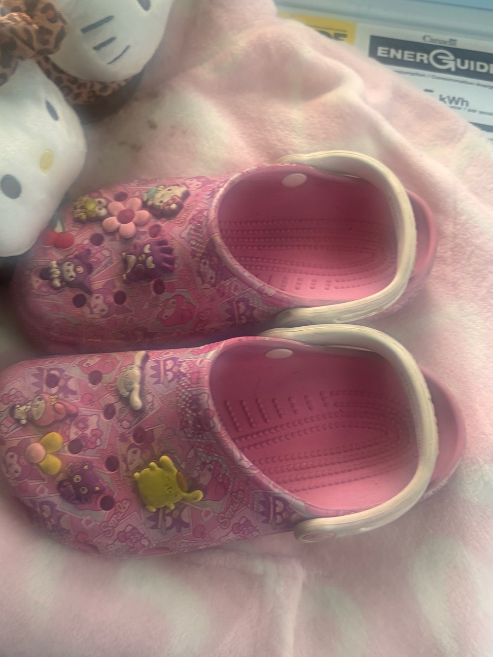CROCS Pink Kids Water Shoes with Character Jibbitz